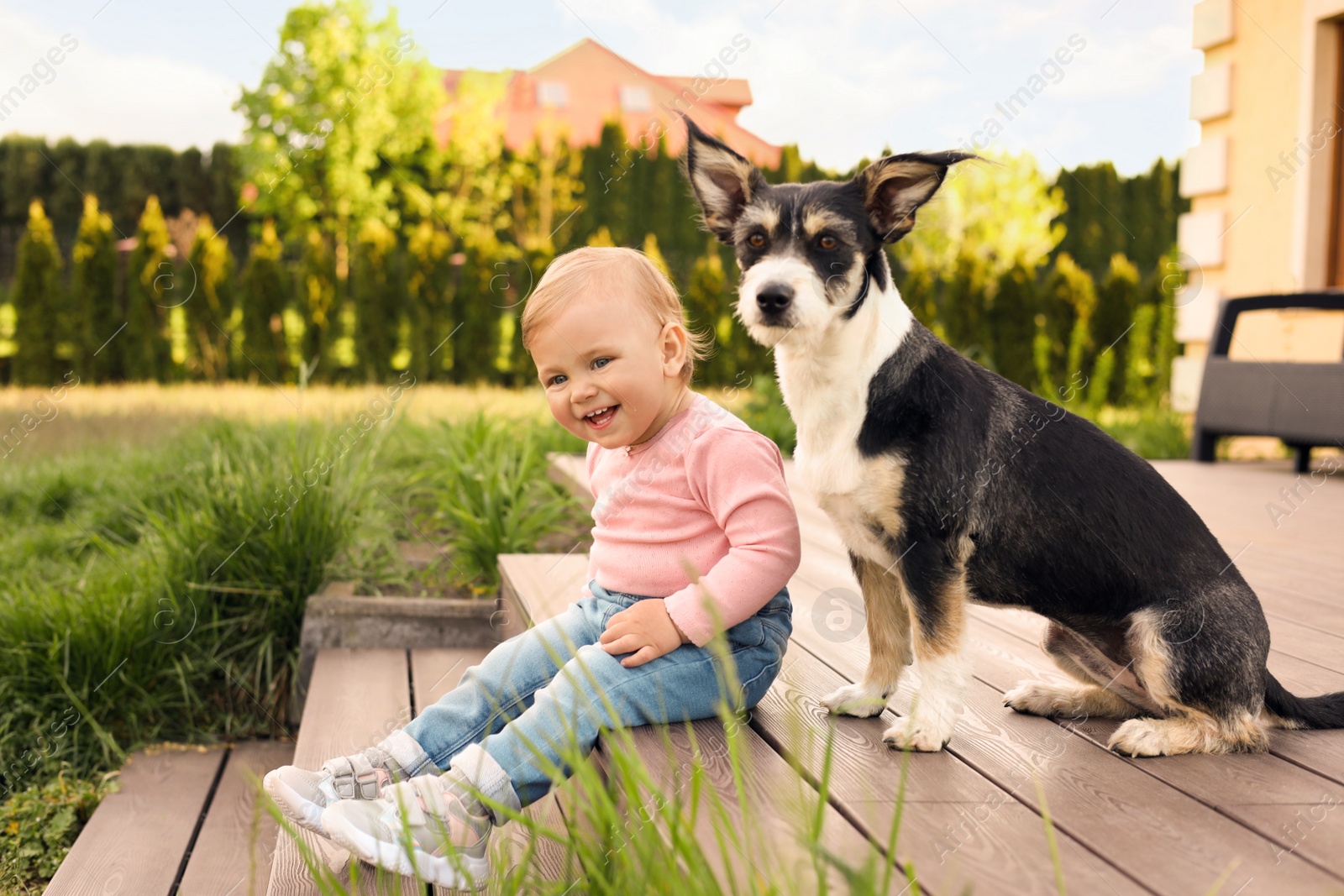 Photo of Adorable baby and furry little dog on wooden porch outdoors