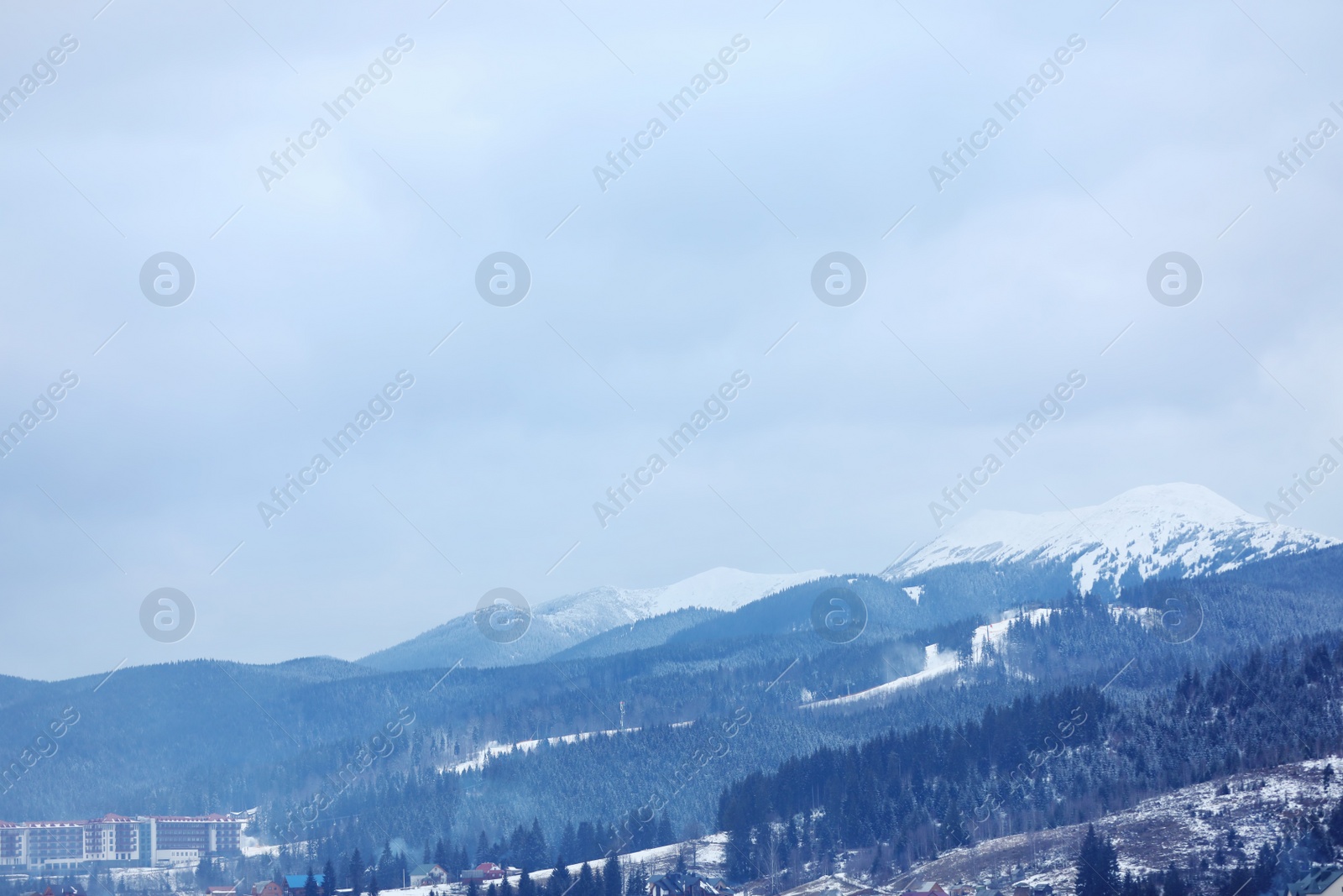 Photo of Beautiful mountain landscape with conifer forest in winter