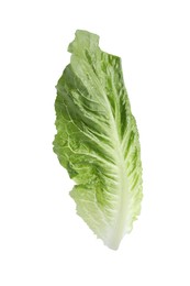 Photo of Fresh leaf of green romaine lettuce isolated on white