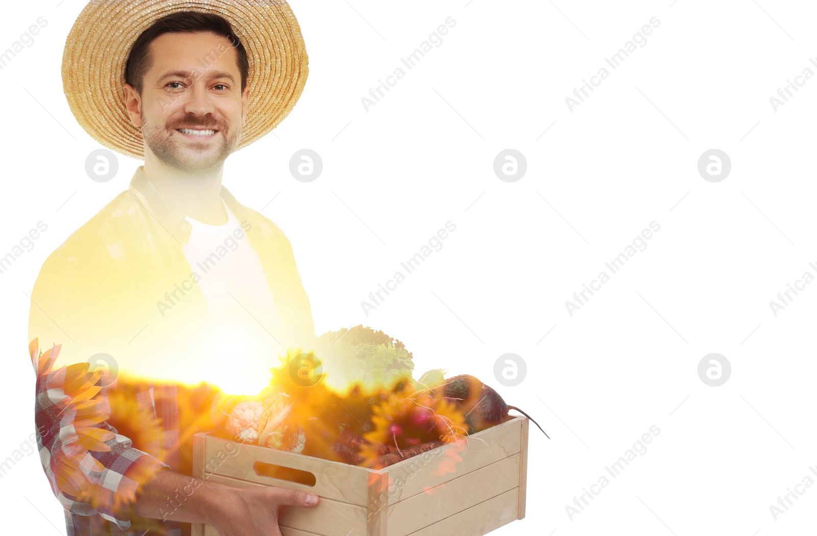 Image of Double exposure of farmer and sunflower field on white background