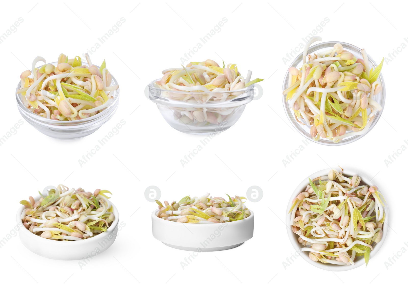 Image of Many mung bean sprouts in bowls on white background, different sides