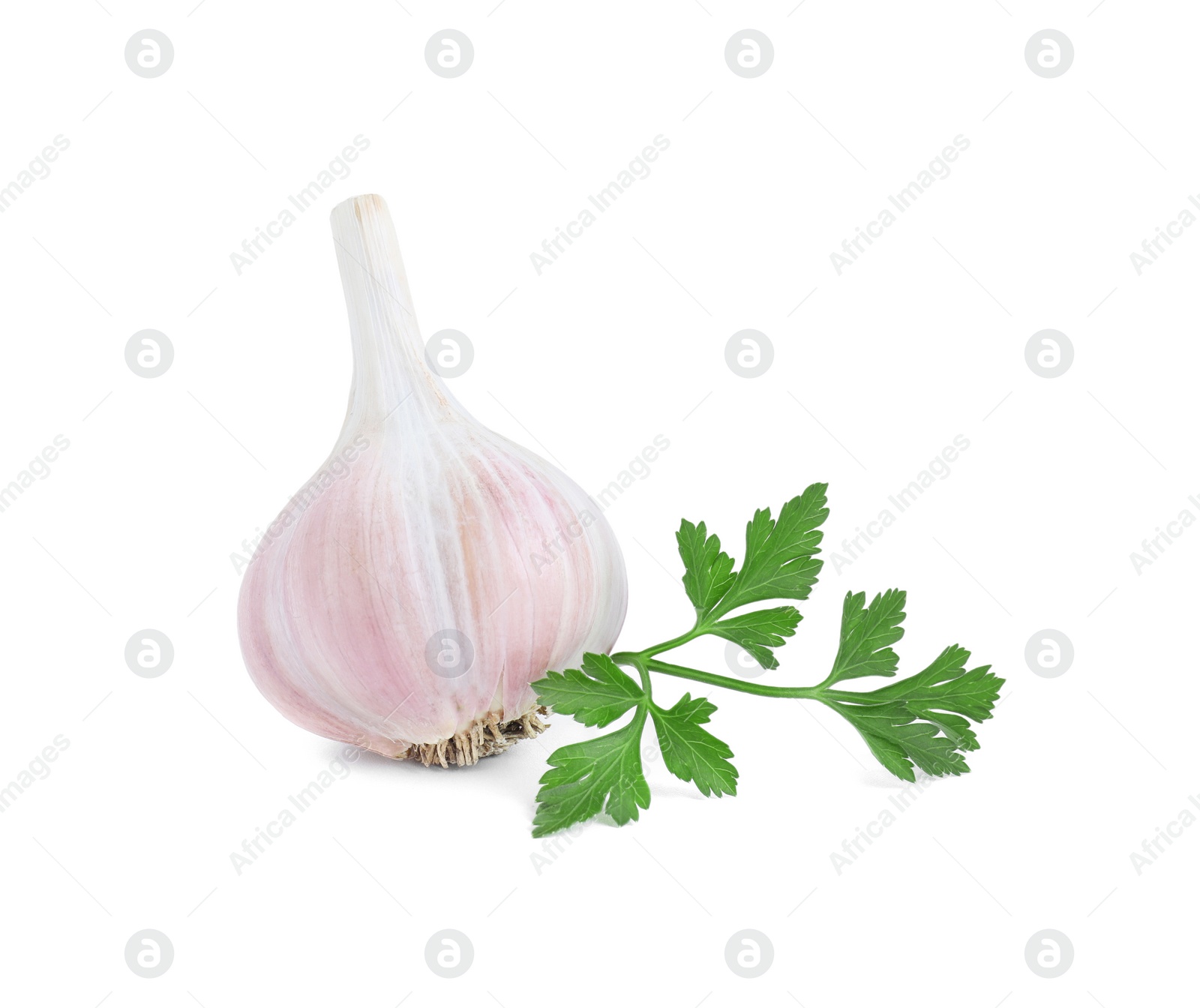 Photo of Fresh garlic head and parsley isolated on white