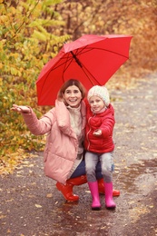 Photo of Mother and daughter with umbrella in autumn park on rainy day