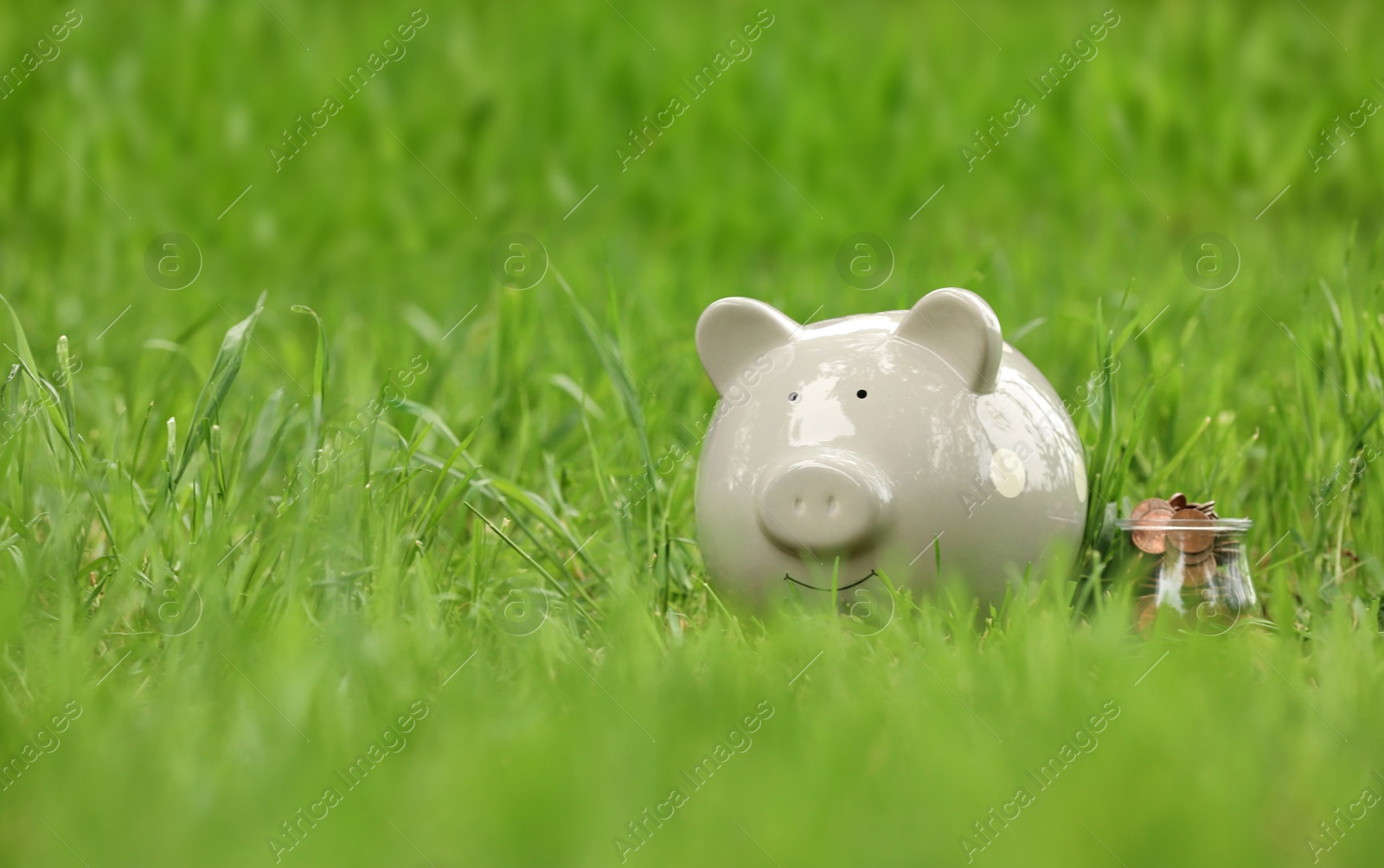 Photo of Cute piggy bank and jar with coins on green grass in park. Space for text