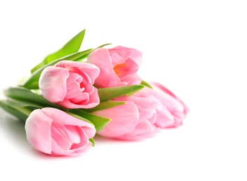 Photo of Beautiful spring tulips on white background. International Women's Day