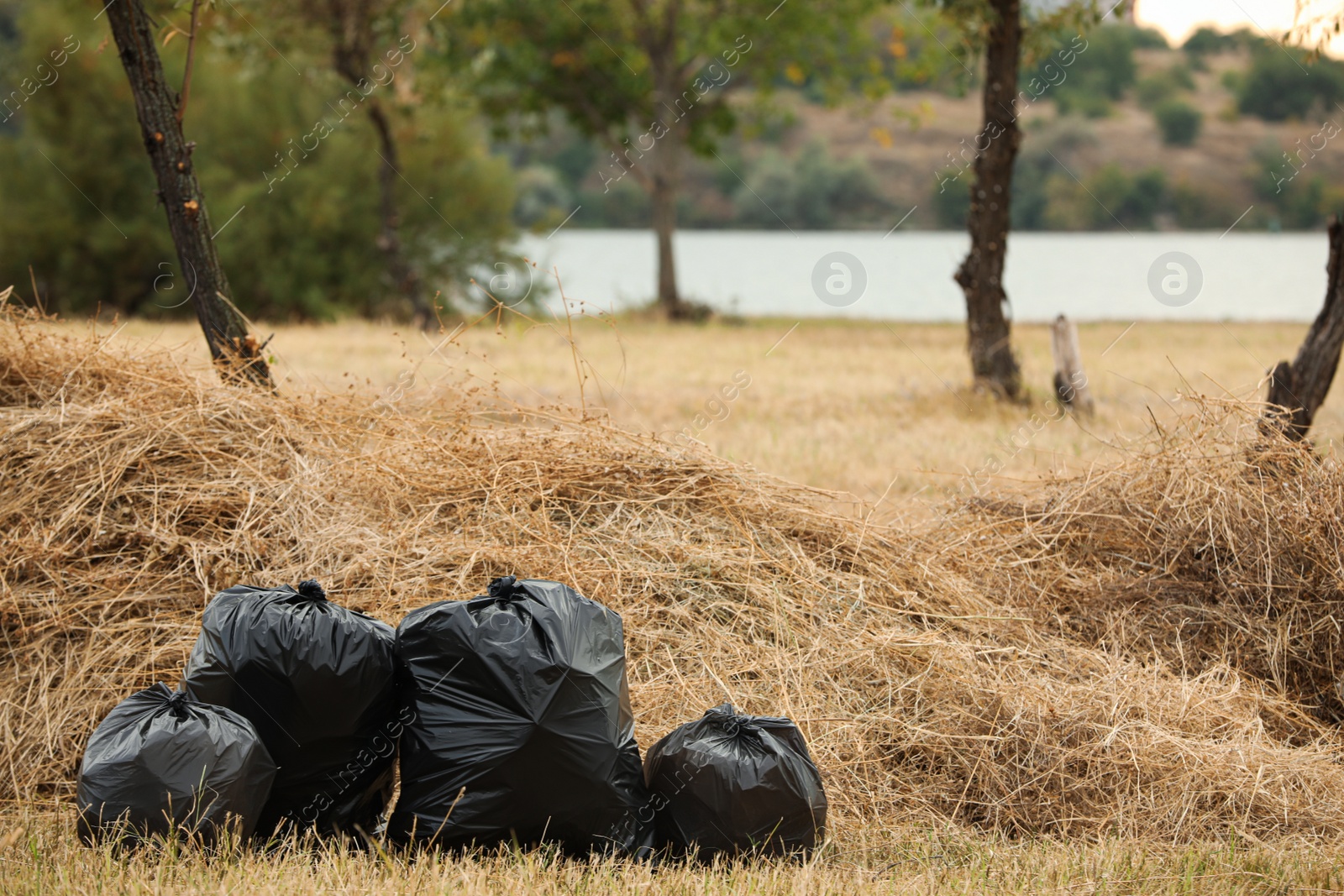 Photo of Trash bags full of garbage outdoors. Space for text