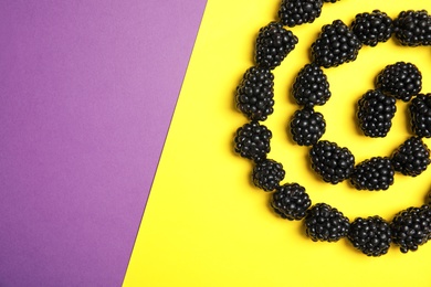 Flat lay composition with ripe blackberries on color background