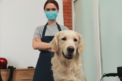 Professional groomer with cute dog in pet beauty salon