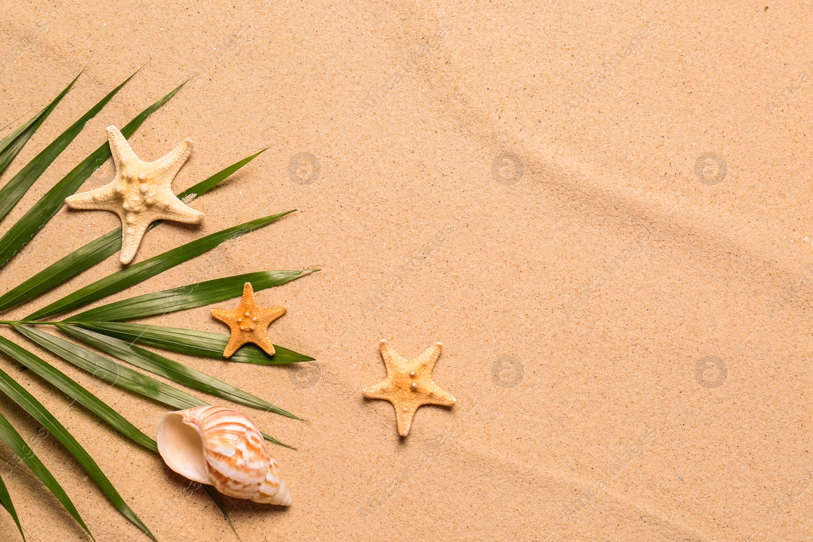 Photo of Palm leaf, starfishes, seashell and space for text on beach sand, flat lay. Summer vacation