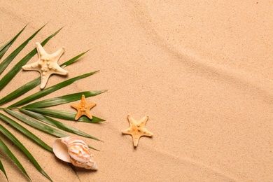 Photo of Palm leaf, starfishes, seashell and space for text on beach sand, flat lay. Summer vacation