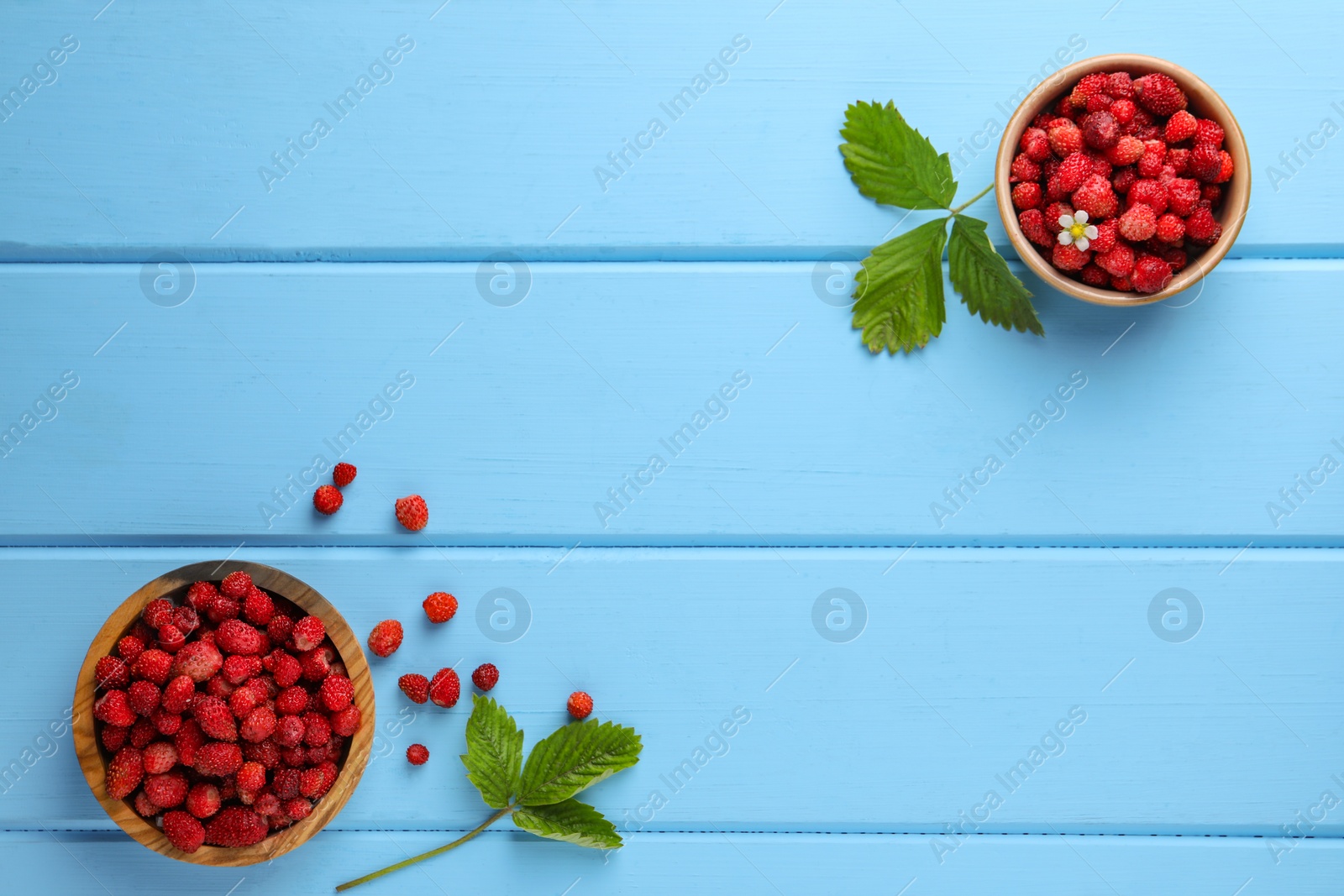 Photo of Fresh wild strawberries in bowls near leaves on light blue wooden table, flat lay. Space for text