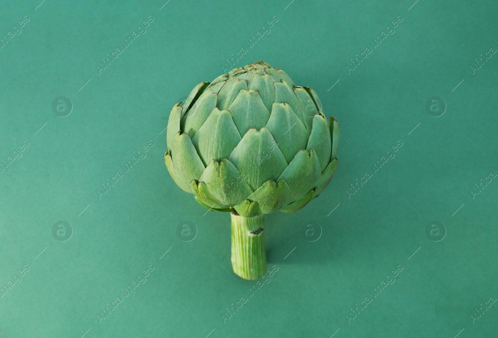 Photo of Whole fresh raw artichoke on green background