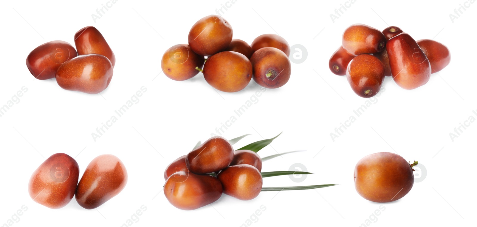 Image of Set with fresh ripe palm oil fruits on white background. Banner design