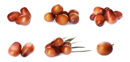 Image of Set with fresh ripe palm oil fruits on white background. Banner design