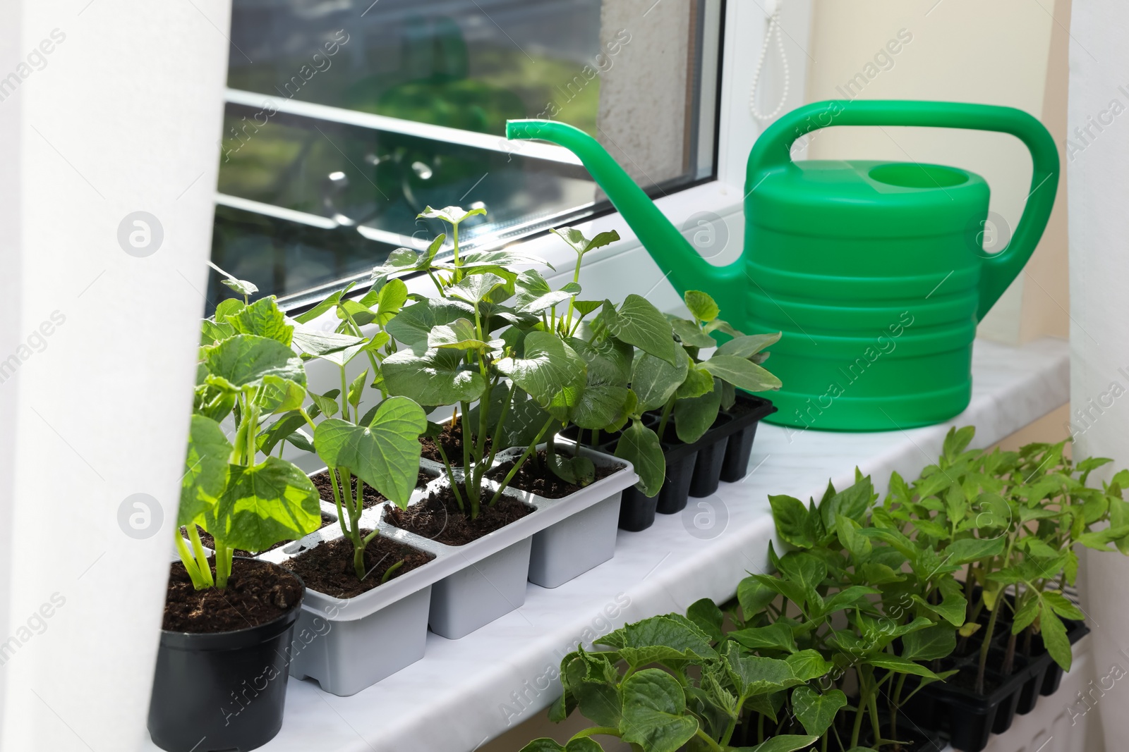 Photo of Seedlings growing in plastic containers with soil and watering can on windowsill indoors