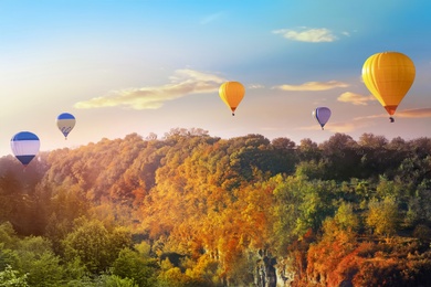 Photo of Beautiful view of hot air balloons flying over autumn forest