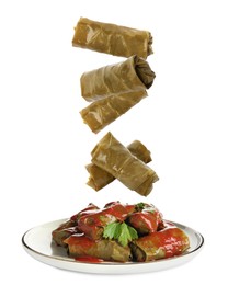 Image of Delicious stuffed grape leaves falling into plate on white background 