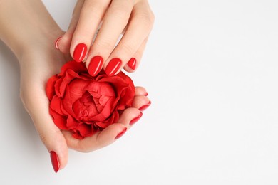 Woman with red polish on nails touching flower on white background, closeup. Space for text