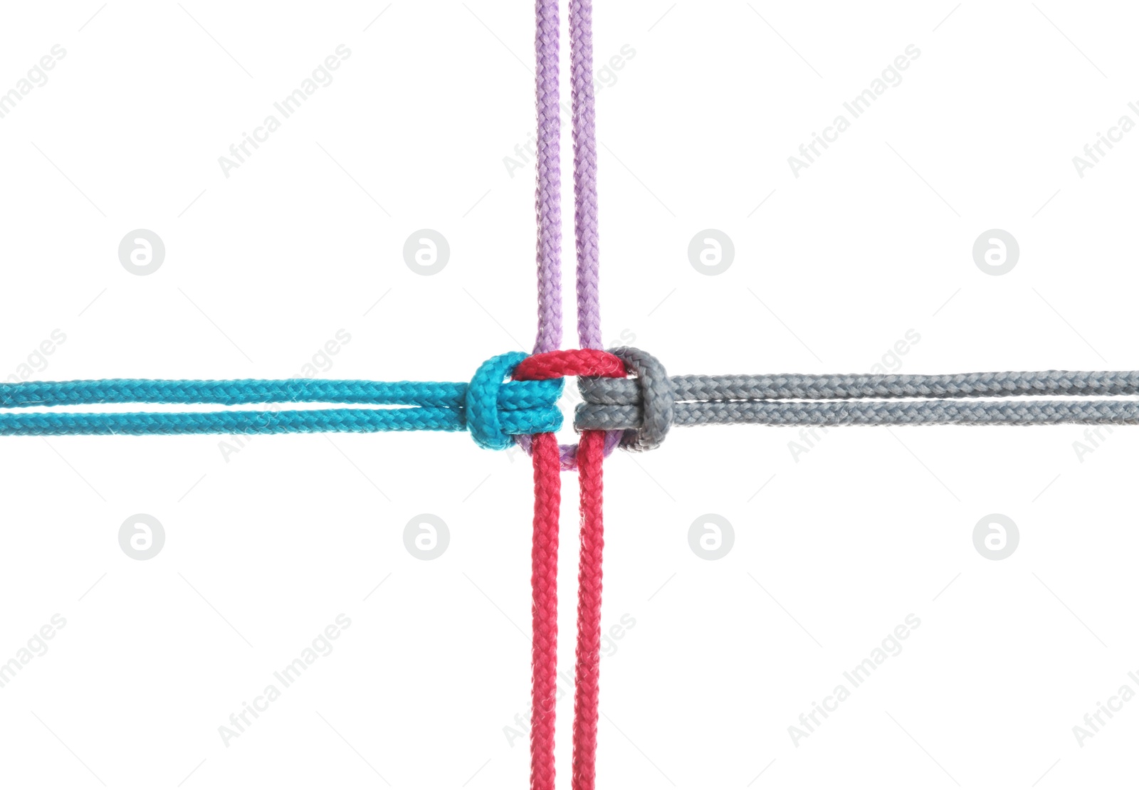 Photo of Colorful ropes tied together isolated on white. Unity concept