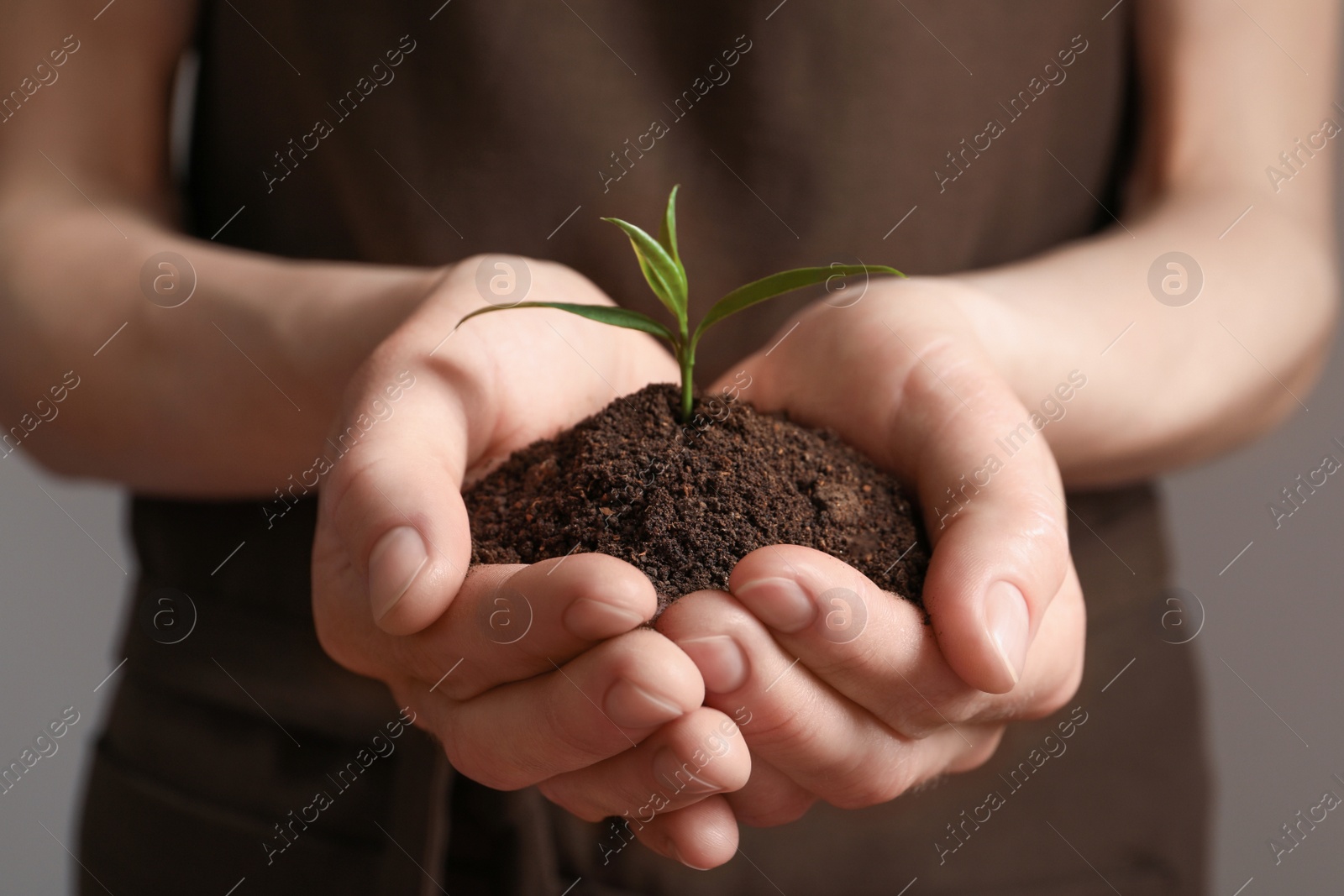 Photo of Woman holding pile of soil and seedling, closeup