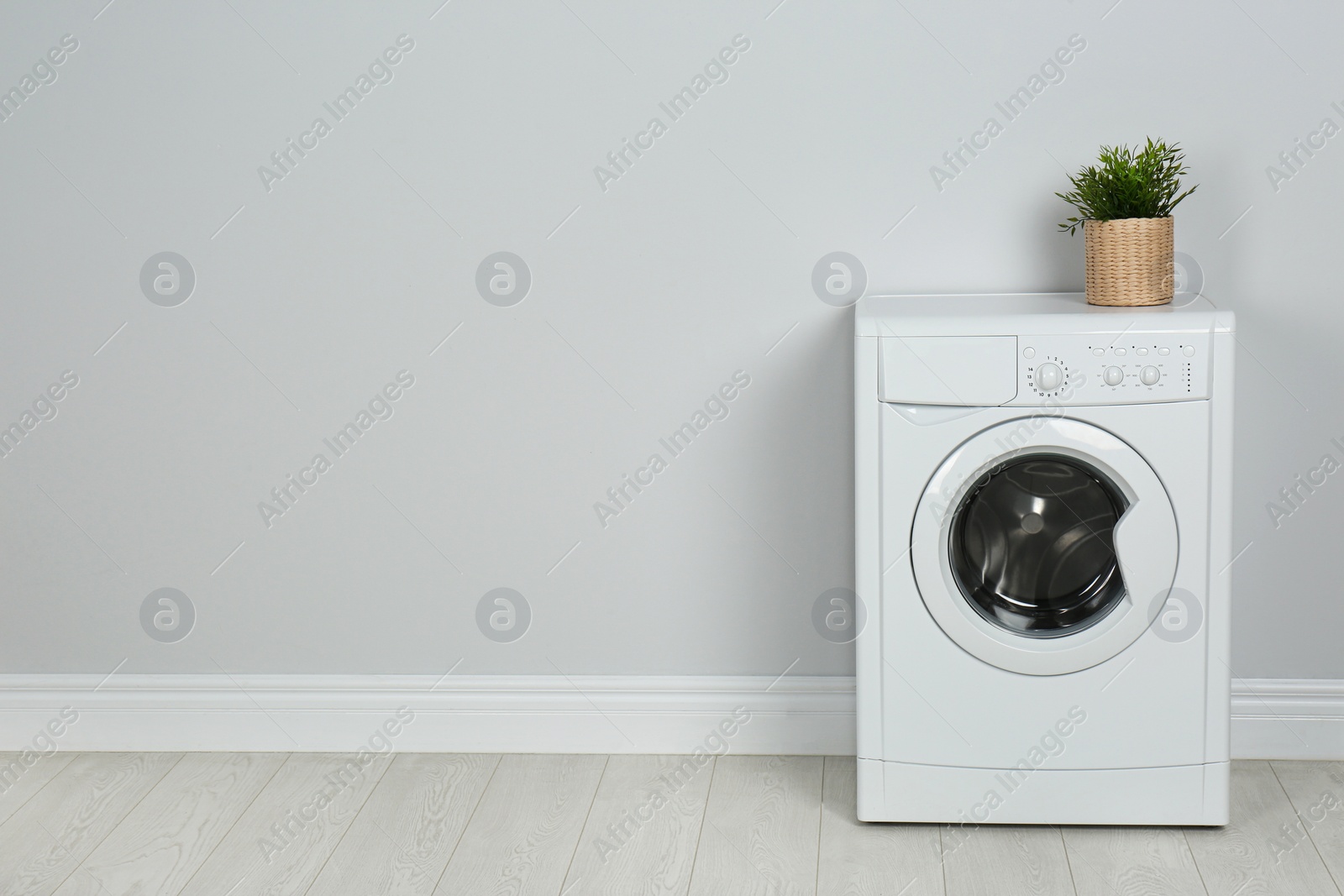 Photo of Modern washing machine with houseplant near white wall, space for text. Laundry day