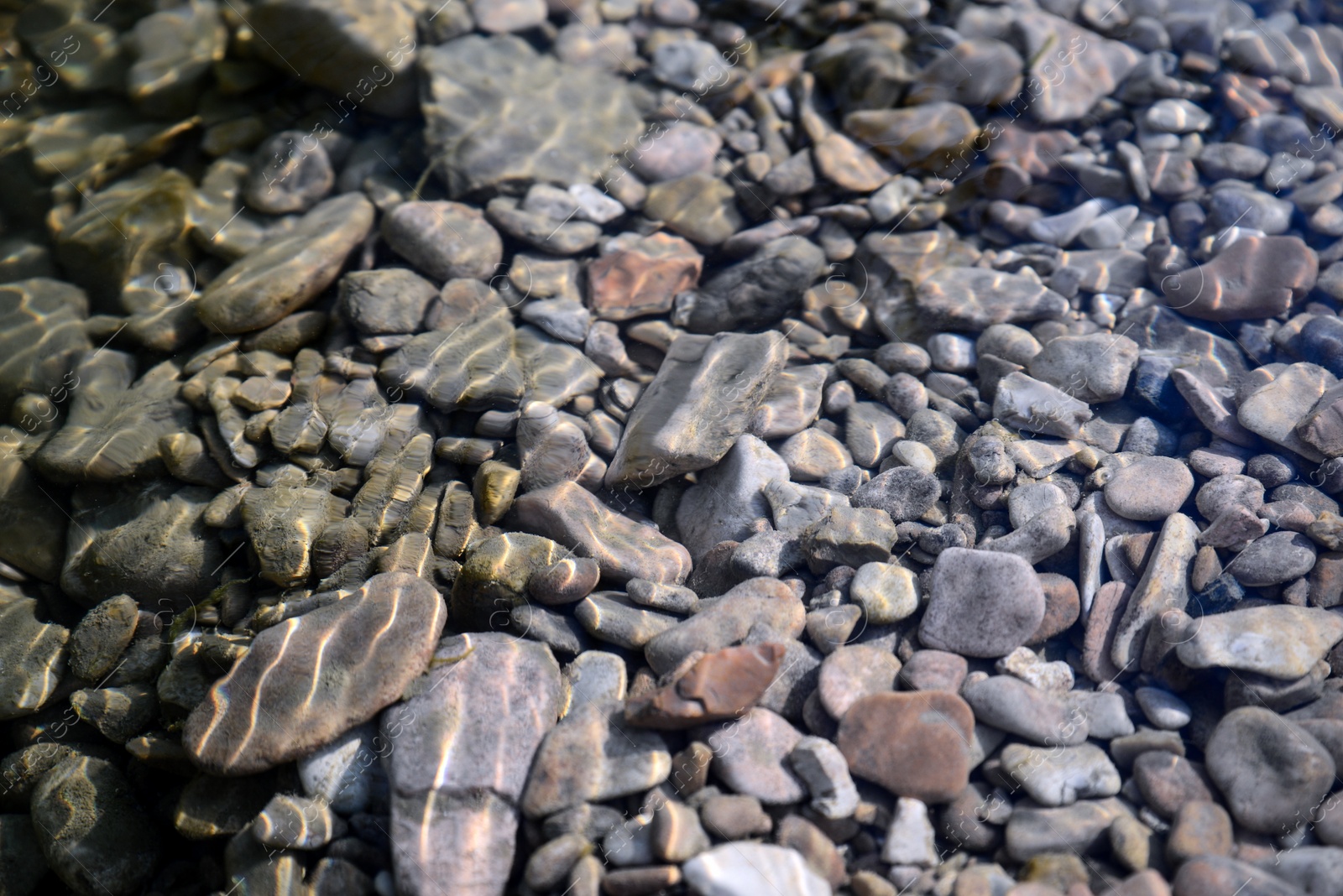 Photo of Stones and pebbles on bottom of river