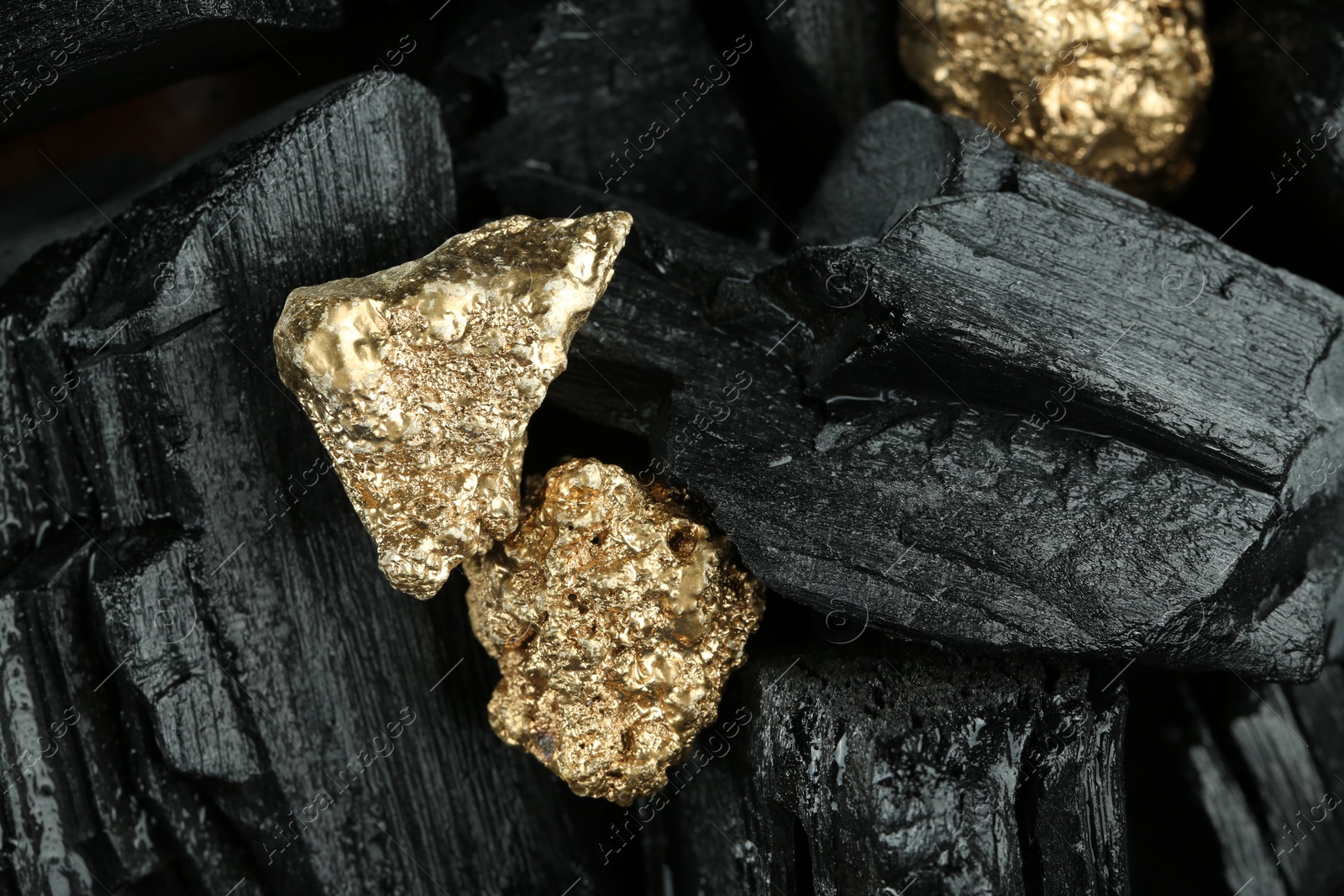 Photo of Shiny gold nuggets on coal, closeup. Space for text