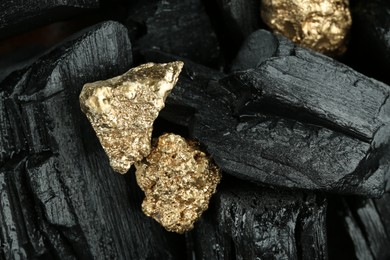 Shiny gold nuggets on coal, closeup. Space for text