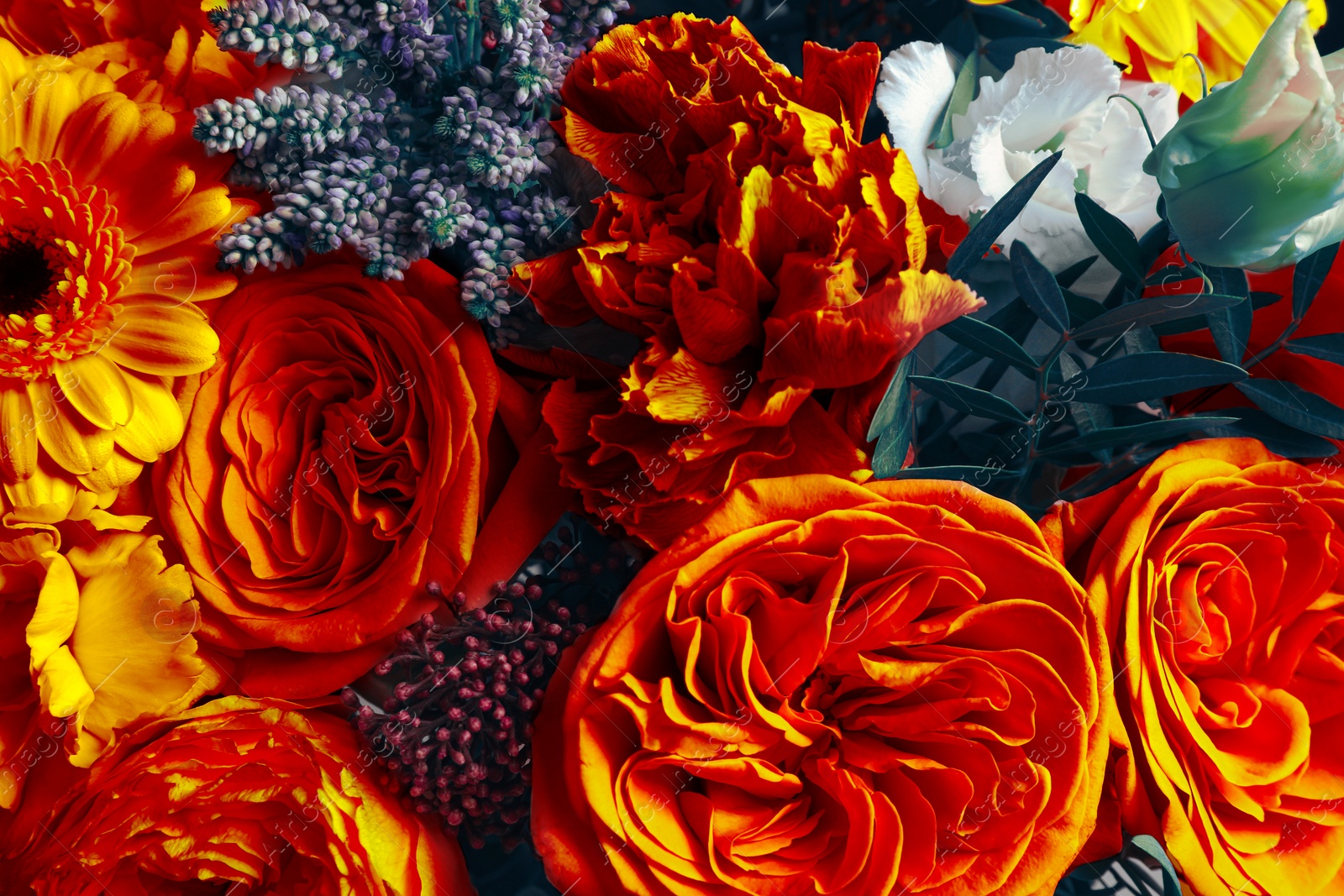 Image of Beautiful bouquet with orange flowers as background, closeup