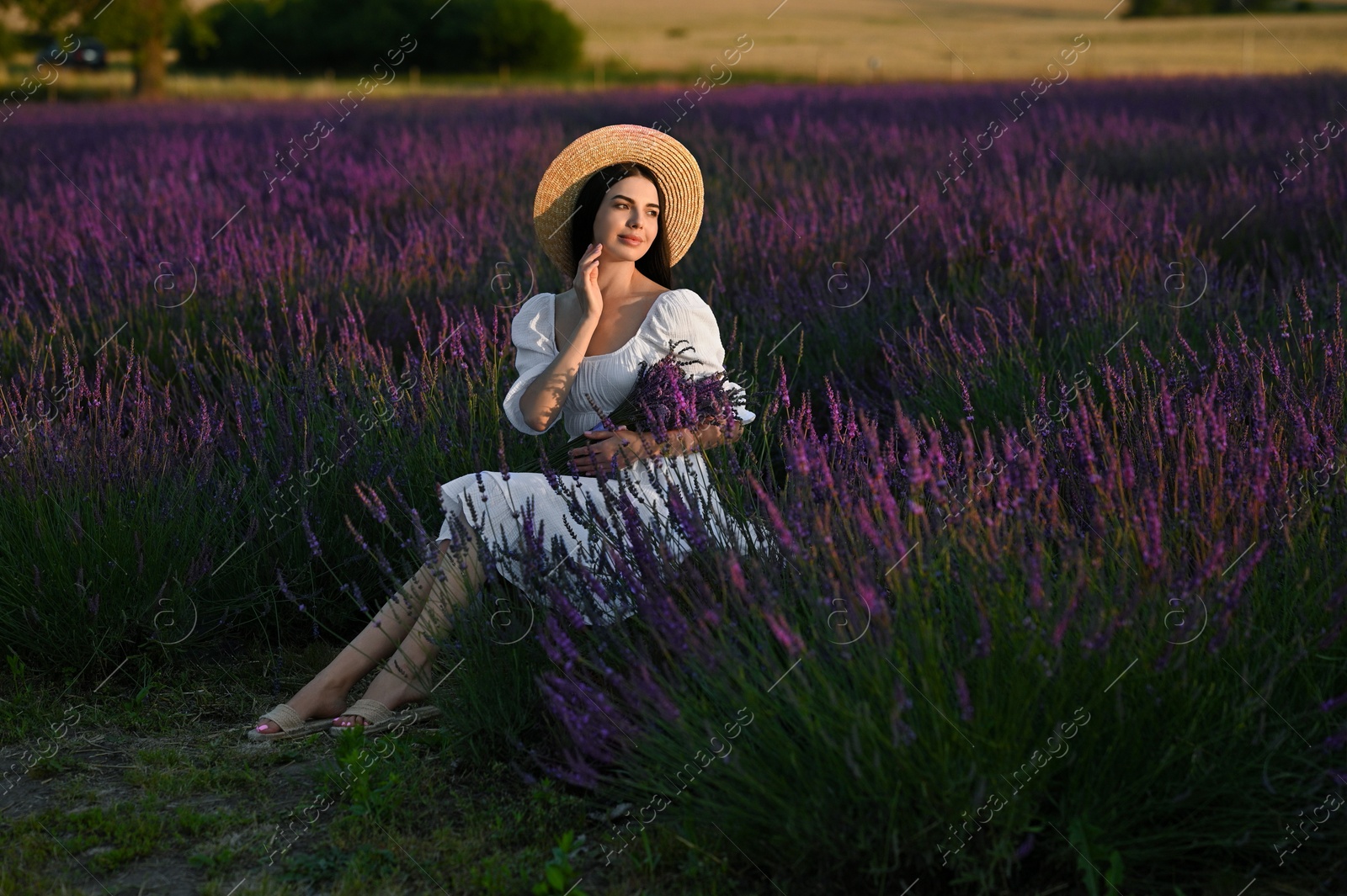 Photo of Beautiful young woman with bouquet sitting in lavender field at sunset