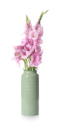 Vase with beautiful gladiolus flowers on white background