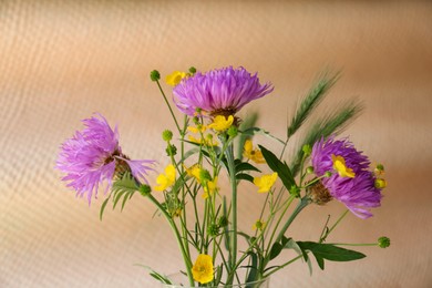 Bouquet of beautiful wildflowers on beige background, closeup