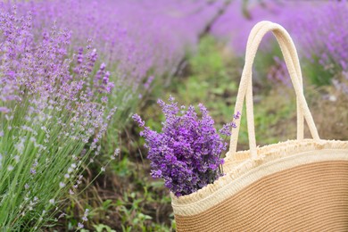 Photo of Wicker bag with beautiful lavender flowers in field, closeup