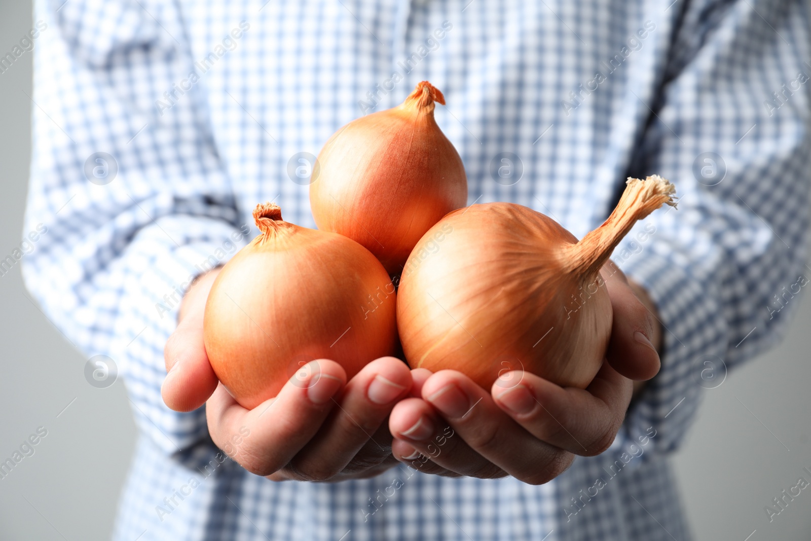 Photo of Woman holding raw yellow onion bulbs on grey background, closeup