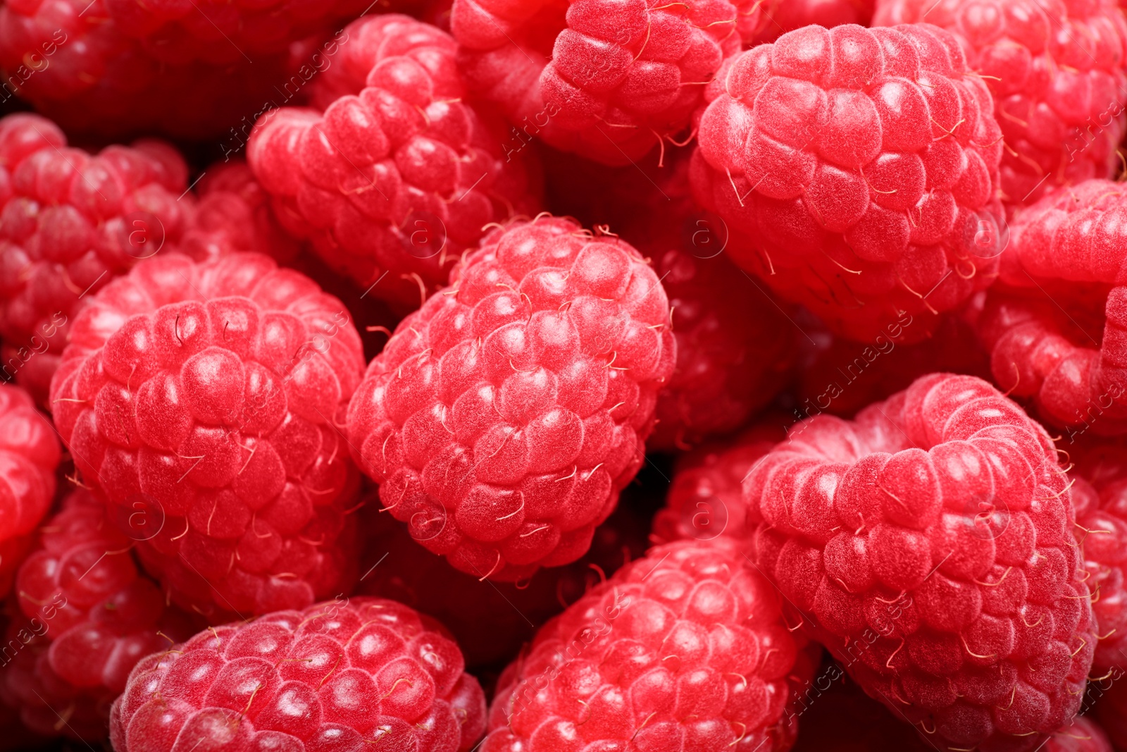 Photo of Fresh sweet ripe raspberries as background, closeup