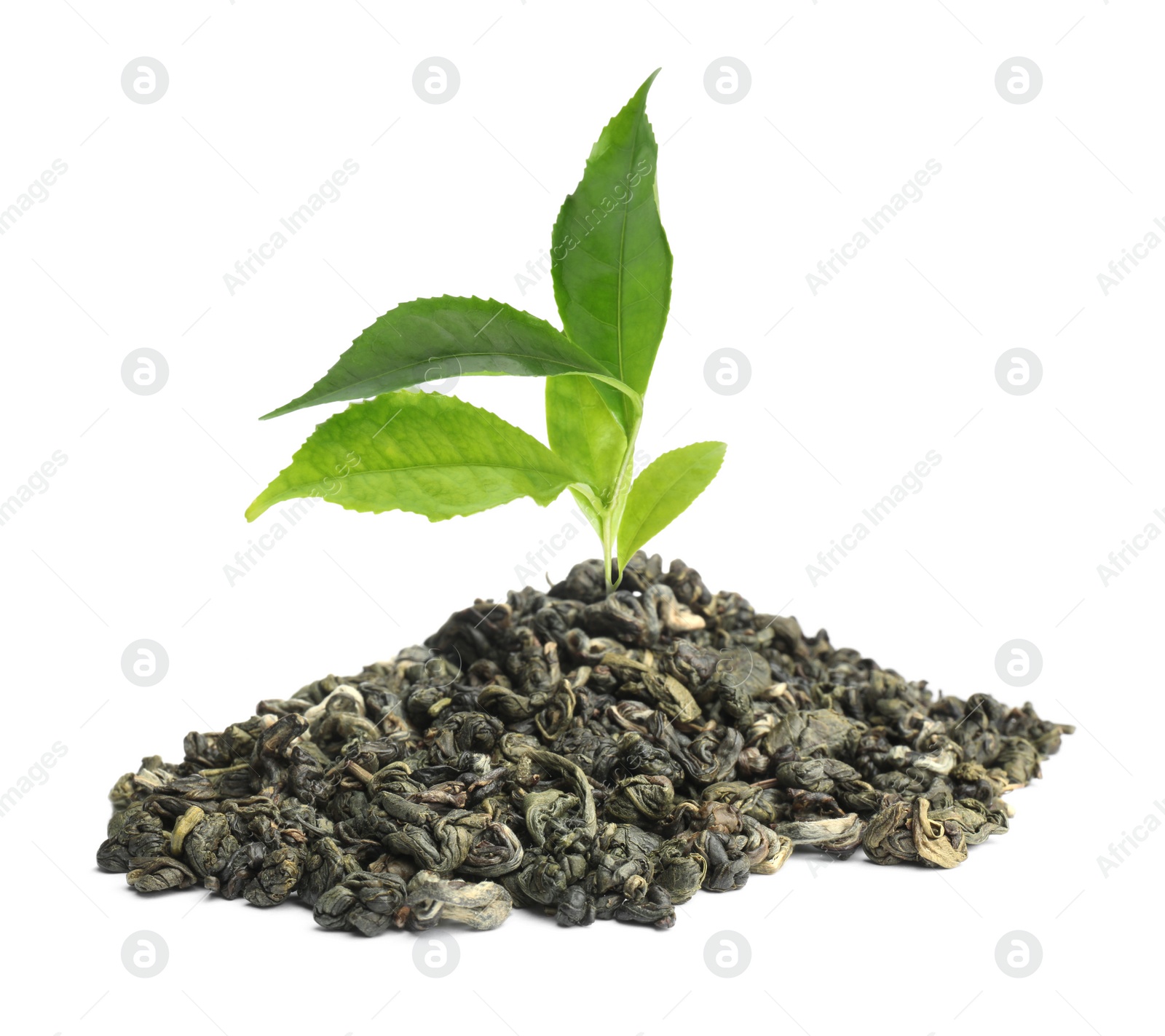 Image of Dry green tea and fresh leaves on white background