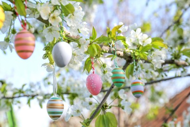 Beautifully painted Easter eggs hanging on blooming tree outdoors, closeup