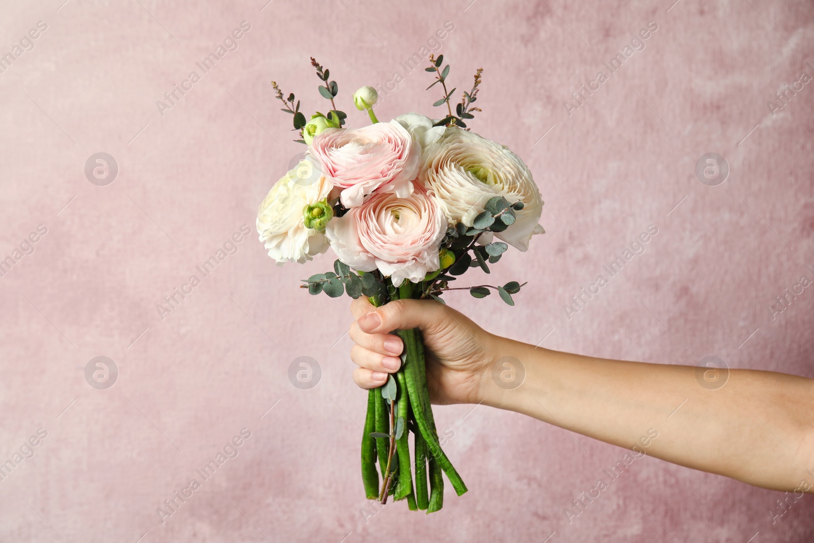 Photo of Woman holding bouquet with beautiful ranunculus flowers on color background