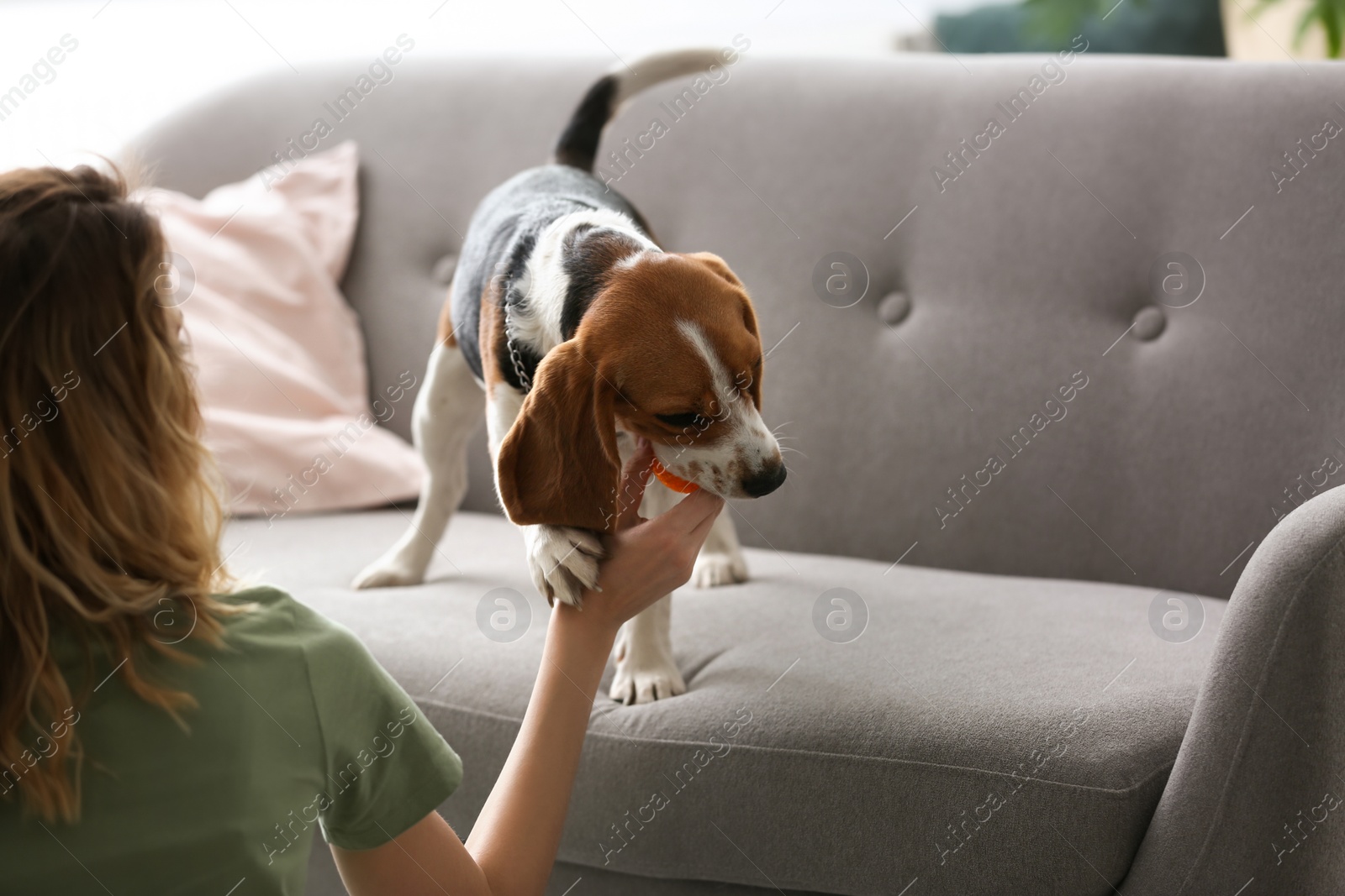 Photo of Young woman playing with her dog at home