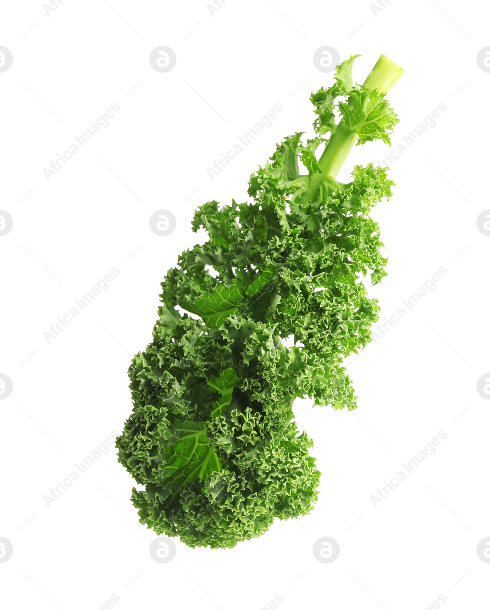 Photo of Fresh green kale leaf isolated on white