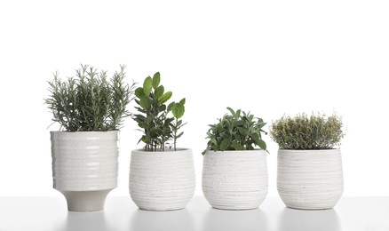 Pots with thyme, bay, sage and rosemary on white background