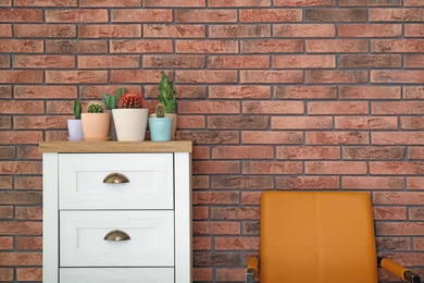 Photo of Beautiful cacti in flowerpots on chest of drawers near brick wall