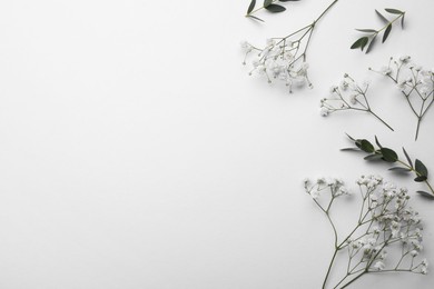 Photo of Beautiful gypsophila and eucalyptus on white background, flat lay. Space for text