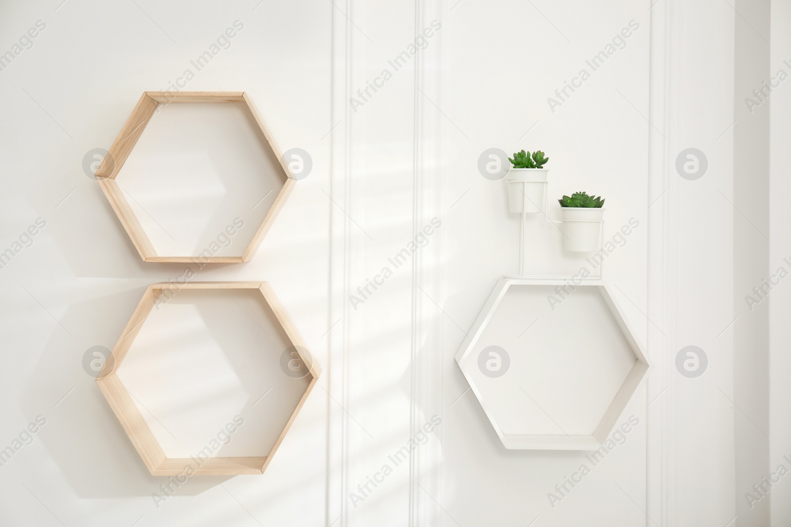 Photo of Honeycomb shaped shelves with plants on white wall