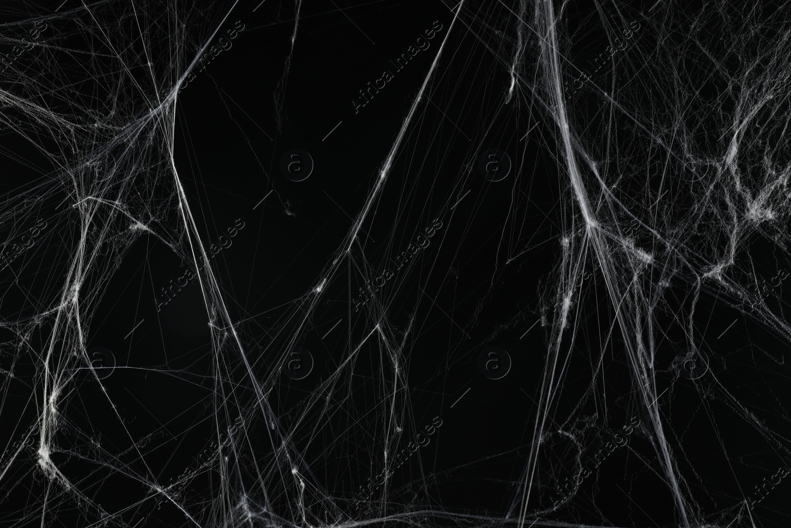 Photo of Creepy white spider web on black background