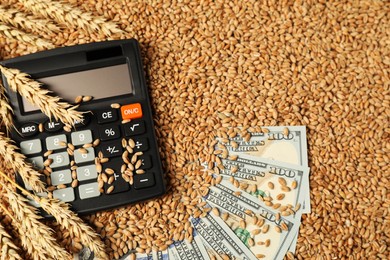 Dollar banknotes, calculator and wheat ears on grains, top view. Agricultural business