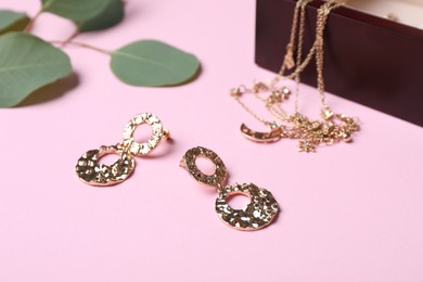 Photo of Beautiful jewelry and eucalyptus leaves on pink background, closeup