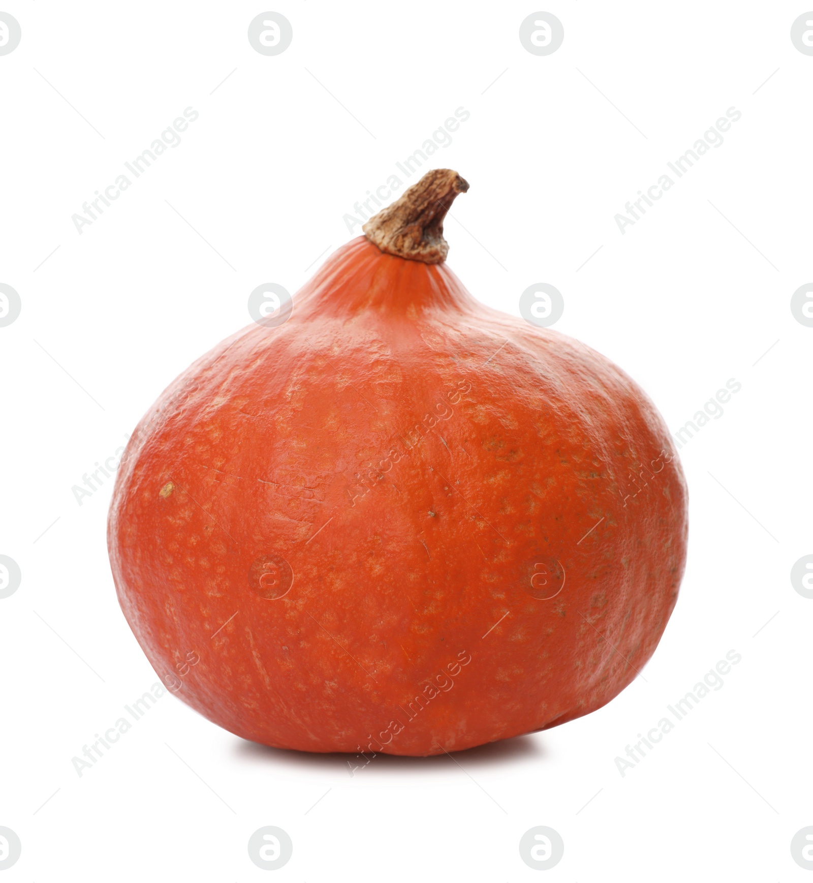 Photo of Fresh raw pumpkin isolated on white. Organic plant