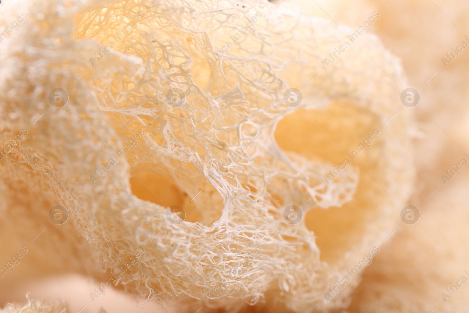 Photo of Natural loofah sponge as background, closeup view