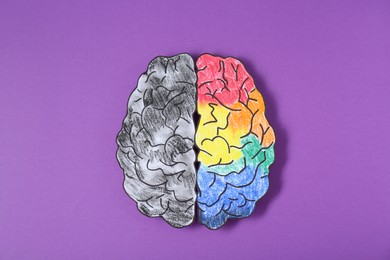 Photo of Logic and creativity. Paper brain with one colorful hemisphere and another grey on purple background, top view